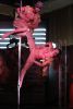 пол дэнс киев, танцы на пилоне киев, танцы на пилоне соломенский район, pole dance киев центр, pole dance в киеве, танцевальная студия в шевченковском районе, танец на пилоне в Киеве, танцы Киев, студия танцев на пилоне соломенский район